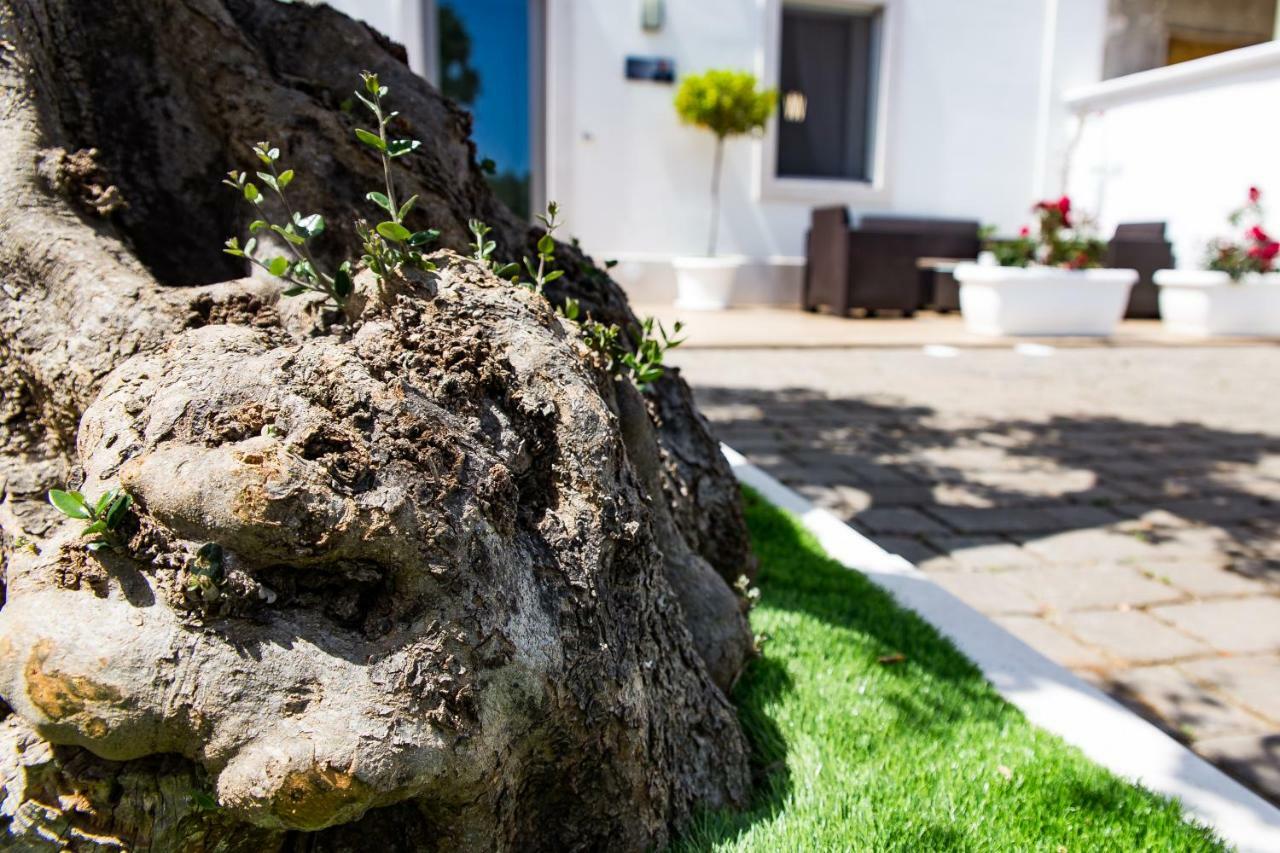 Dal Signor Wolf Bed & Breakfast Pezze Di Greco Exterior photo